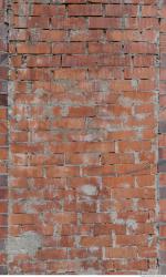 Photo Textures of Wall Brick